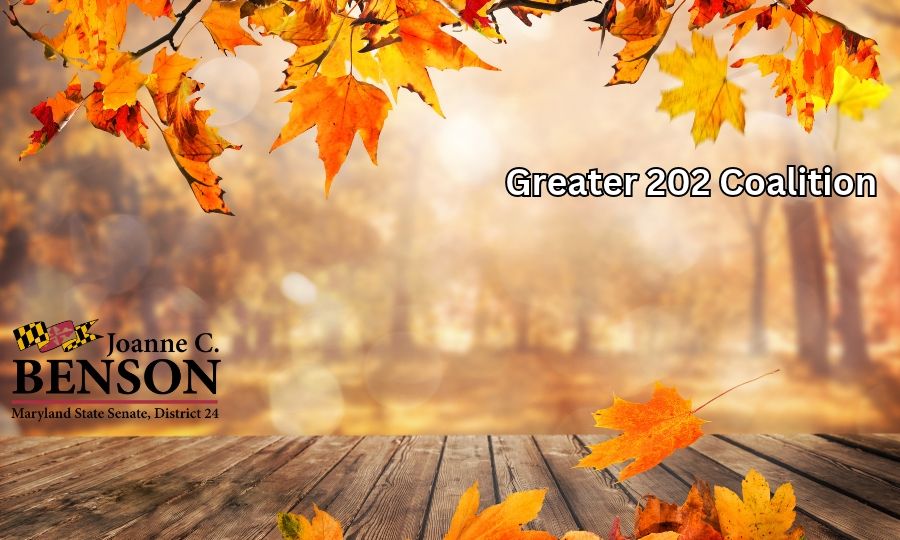 October 2026 Greater 202 Coalition Newsletter Photo