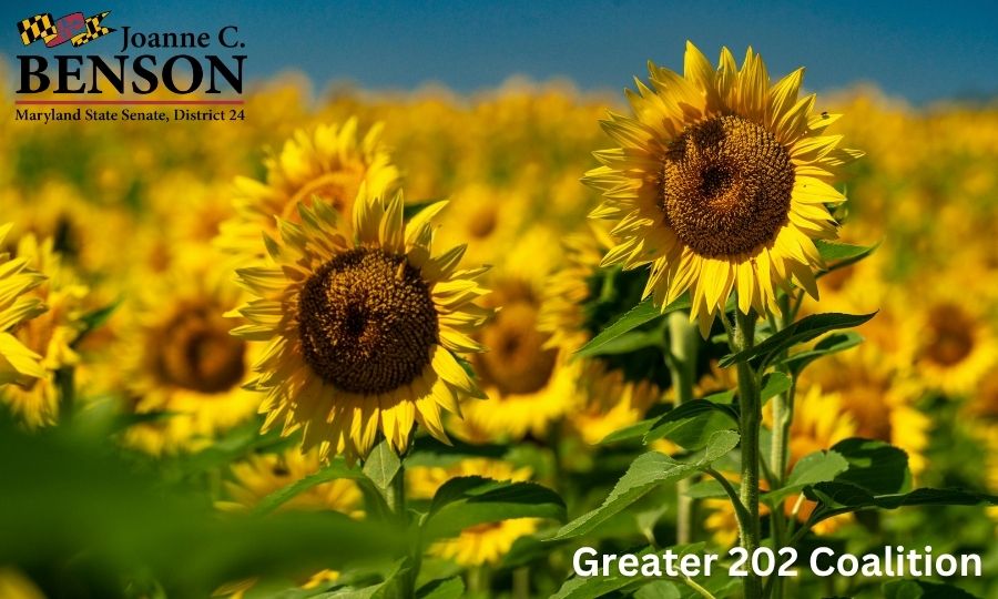 September 2026 Greater 202 Coalition Newsletter 
